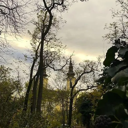Birdnest * Budapest