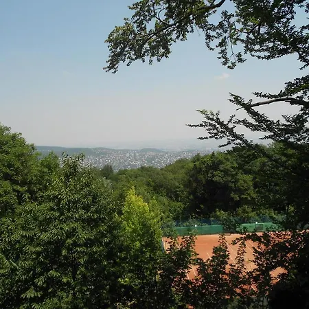 Budai Sport 3* Budapest