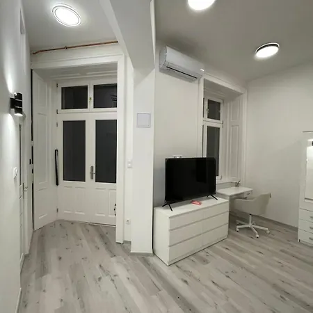 Διαμέρισμα Szekely Near Deak Ferenc Square With Free Parking In Garage Βουδαπέστη