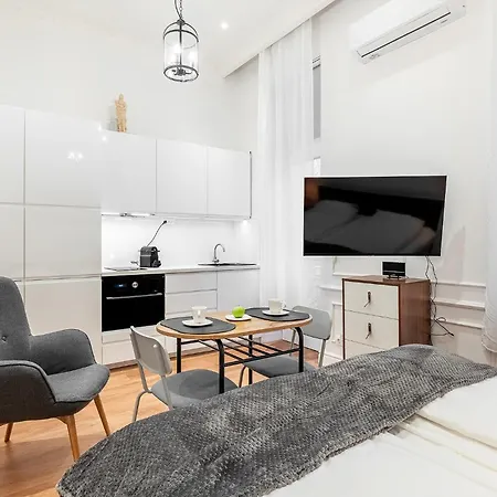 Classical Mini With A Modern Touch! Apartment Budapest