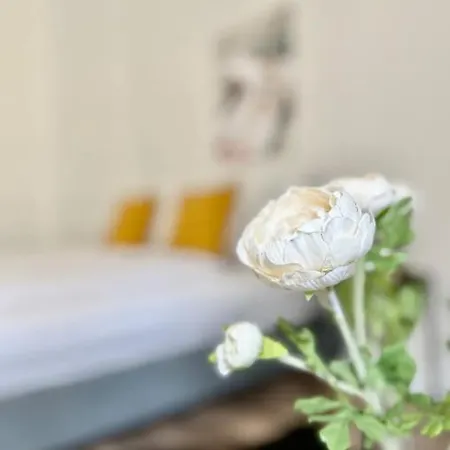 Standard By Hi5 - Tiny Studio * Budapest