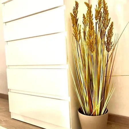 Rose Apartmann Apartment Budapest