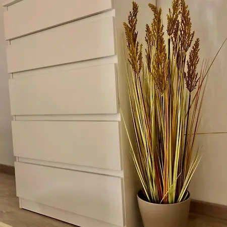 Rose Apartmann * Budapest