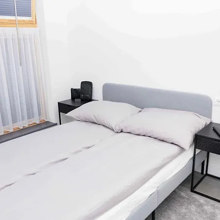 Luxury Cozy 2 Bdr Downtown Apt.6 Apartment