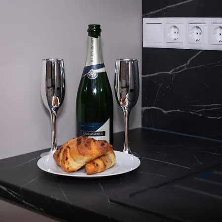 Luxury Cozy 2 Bdr Downtown Apt.4 Apartment