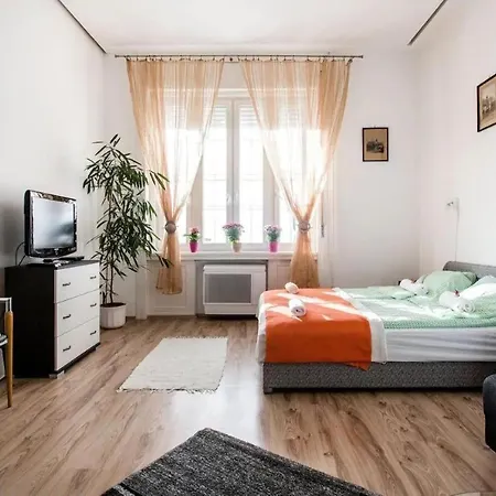 Free Garage!!! Downtown Near The New York Coffee House Apartment Budapest