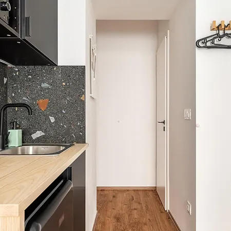 Apartment Downtown Hegedus 8