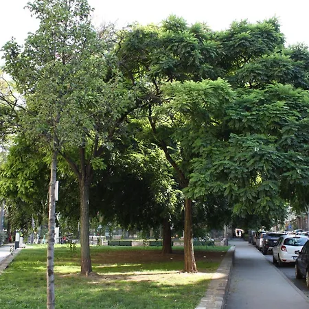 5 Apartman