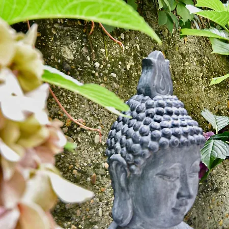 Apartment Buda Bliss Garden Budapest
