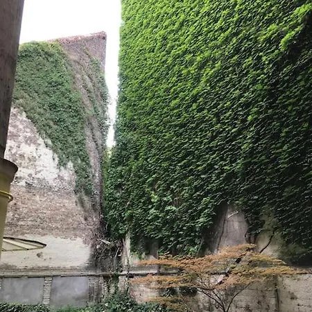 Heart Garden Comfy Apartment