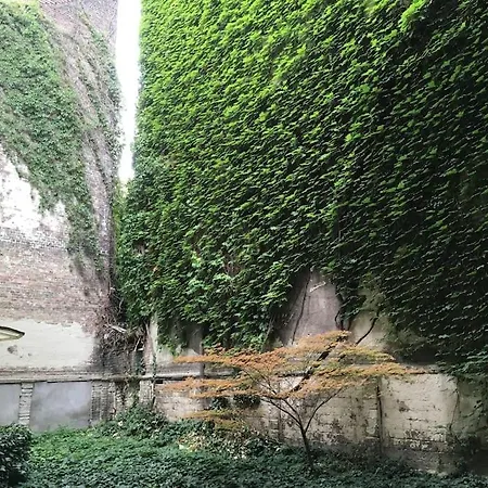 Heart Garden Comfy *
