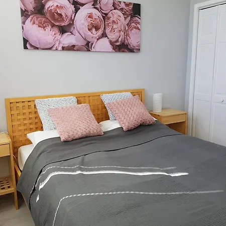 Ceu Konferencia Koezpont Otel 3*