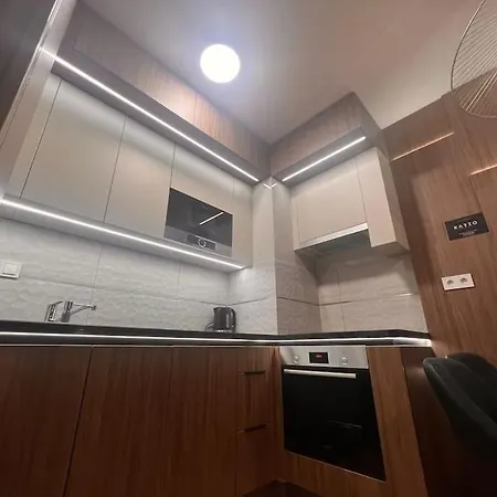 Karzo Lk 208 Apartment Budapest