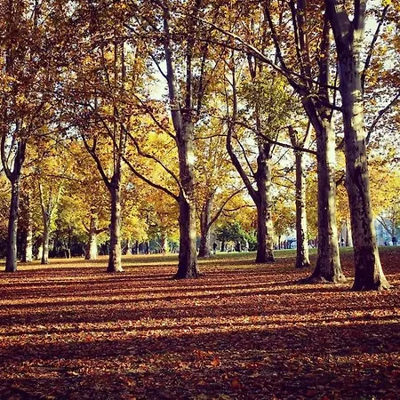 Location In Budapest! Appartamento *