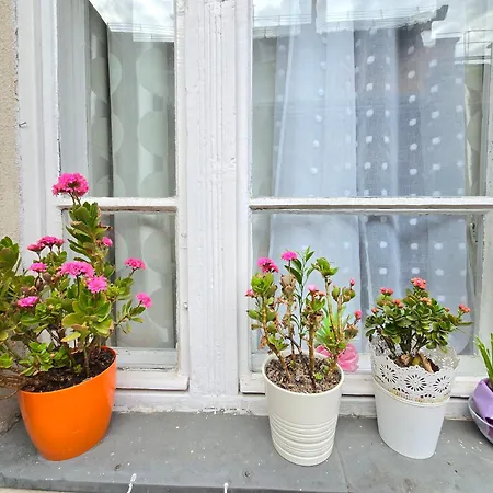 Cozy Nest Hideaway Budapest