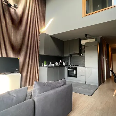 Luxury Duplex In The Center. Apartment Budapest