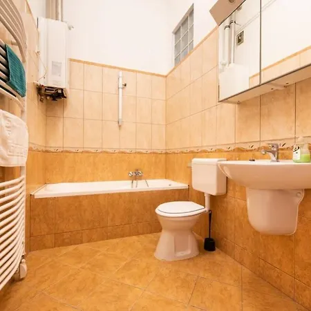 Apartment Very Convenient Large Ac Place *