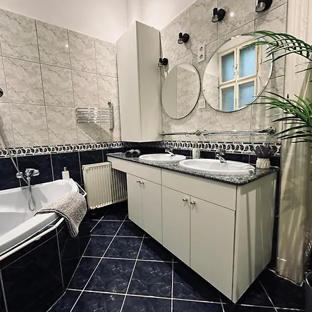 Spacious Vintage For 12ppl Apartment