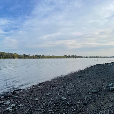 Calm Island Near The Danube - Free Parking * Budapest
