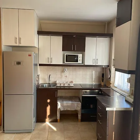 Apartment Calm Island Near The Danube - Free Parking