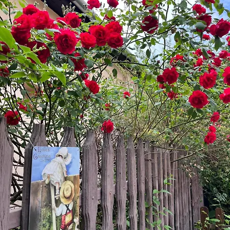 Garden *