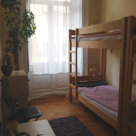 Activity Budapest