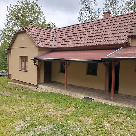 Orsegi Kucko * Budapest