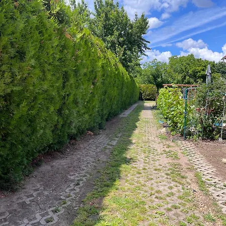 Garden Budapesta