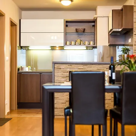 Apartament Arpad Bridge *