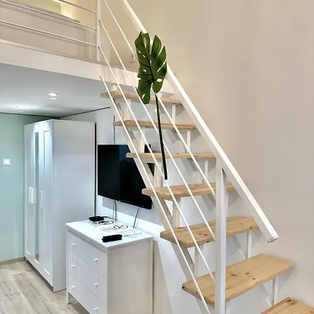 Standard By Hi5- Downtown Jungle * Budapest