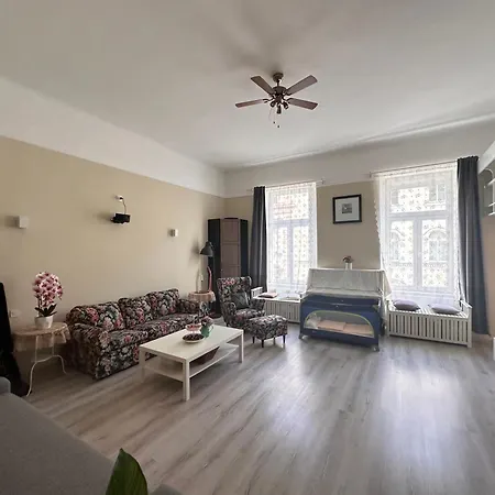 Spacious And Stylish Jokai Apartment