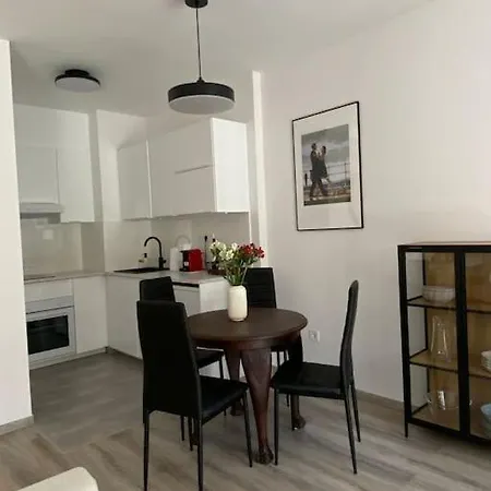 Zene Lux Vinyl Record Player & Projector Apartament *