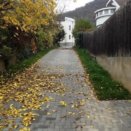 Maharaja Buda - Private Parking And Garden * Budapest