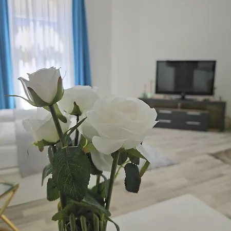 Designer Downtown Gem דירה