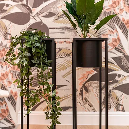 Luxury Tropical At Budapest