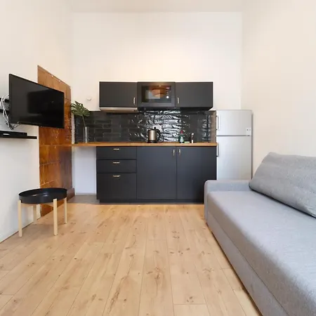 A13 Downtown With Parking Apartment