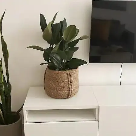 Apartment Fun & Comfort Centre *
