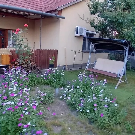 Spacious House In The Outskirts Of * Budapest