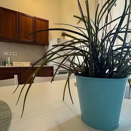 Apartman Danube Vista *