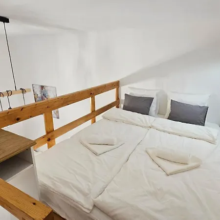 Apartament Oasis *
