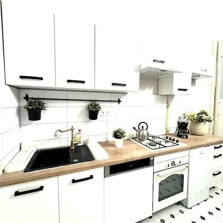 L3 Centre Stylish Flat Ac Apartment
