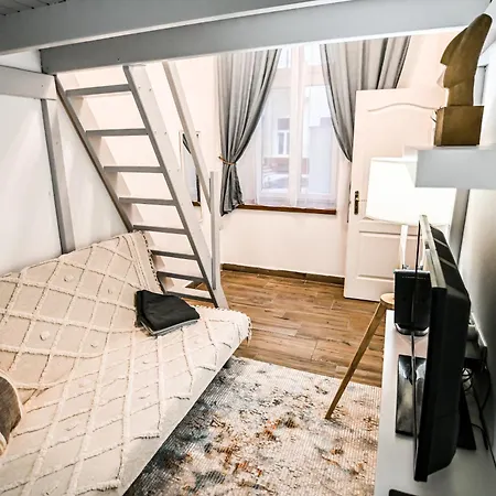 Apartment Acacia Downtown