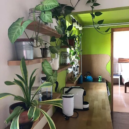 Green Leaves Apartman *