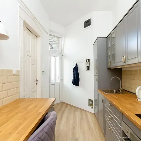 Apartment Historic Charm On Dohany Street By Newave
