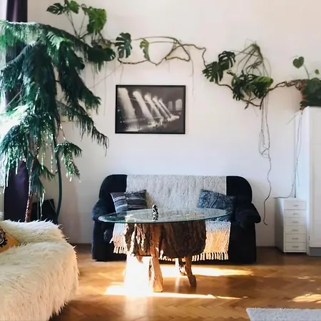 A Selva Urbana Budapest