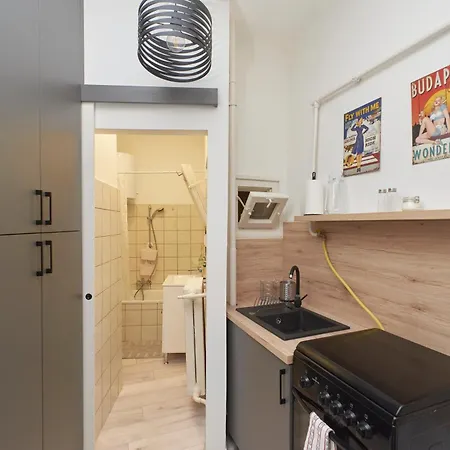 Apartment Tinodi Down Town