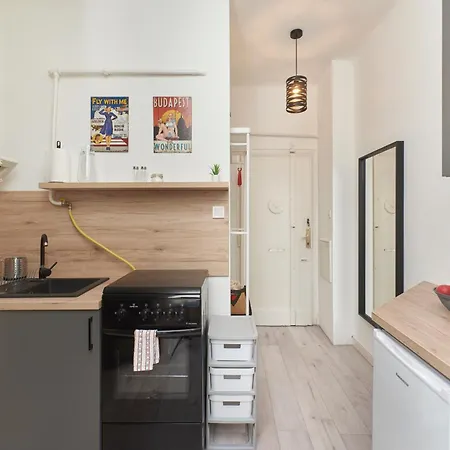Tinodi Down Town Apartment Budapest