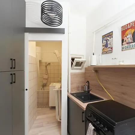 Apartment Tinodi Down Town Budapest
