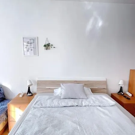 Apartment Comfort -2bedroom,central,balcony,elevator,ac Budapest