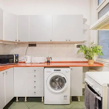 Secluded Spacious Oasis-best Location In Downtown Apartment Budapest